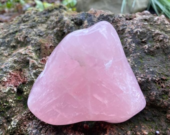 Rose Quartz, 1/2 LB+ Polished Free-Form & Large Palm Stone, Madagascar, 257.40 Grams, CR11567