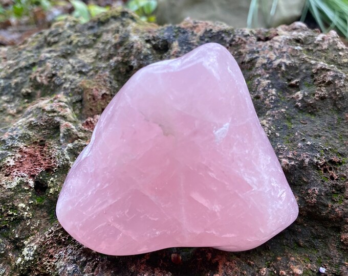 Rose Quartz, 1/2 LB+ Polished Free-Form & Large Palm Stone, Madagascar, 257.40 Grams, CR11567