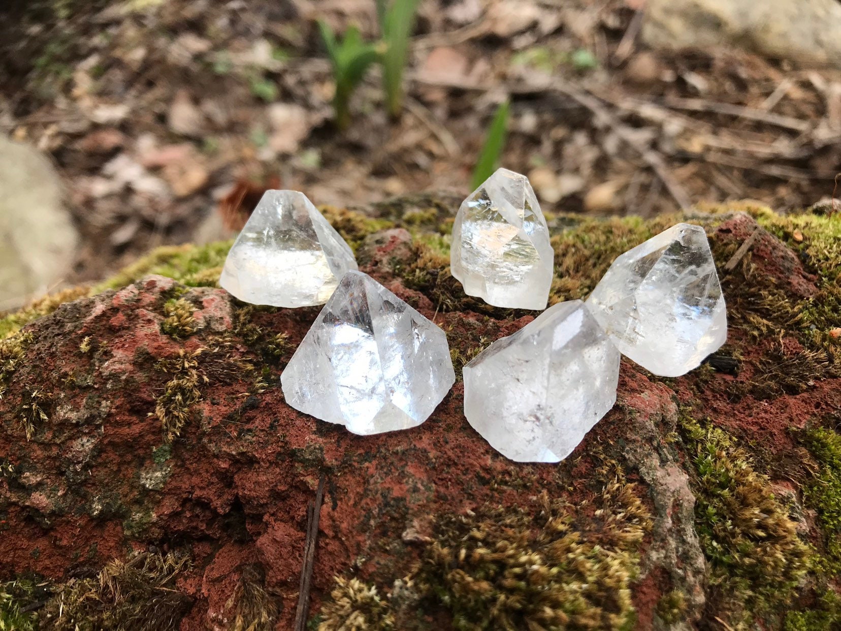 APOPHYLLITE Crystals, Clear, Parcel of 5, Full Crystal, India, 31.2