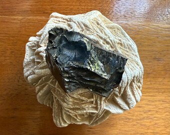 Elite Noble Shungite, Raw, Free Form, Russia, 21.30 Grams, CR12836
