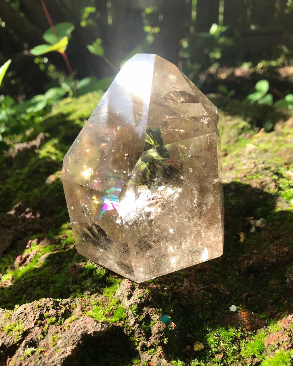 1.1 LBS Smokey Quartz, Polished Standing Crystal, Protection, Large