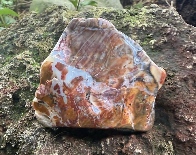 Ohio Flint, 1/2 LB- Polished Freeform Palm Stone, Druzy Corners, Warrior Stone, 219.20 Grams, CR12589