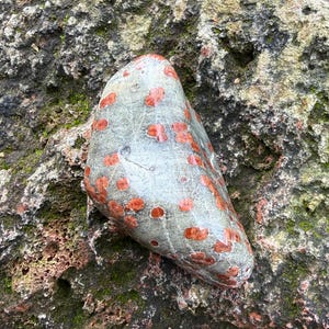 Pu&ograve; includere: Una pietra grigia liscia con numerosi punti rosso-arancio. La pietra ha una forma arrotondata e un aspetto lucido. Lo sfondo &egrave; una superficie rocciosa ruvida e strutturata con macchie di muschio verde.