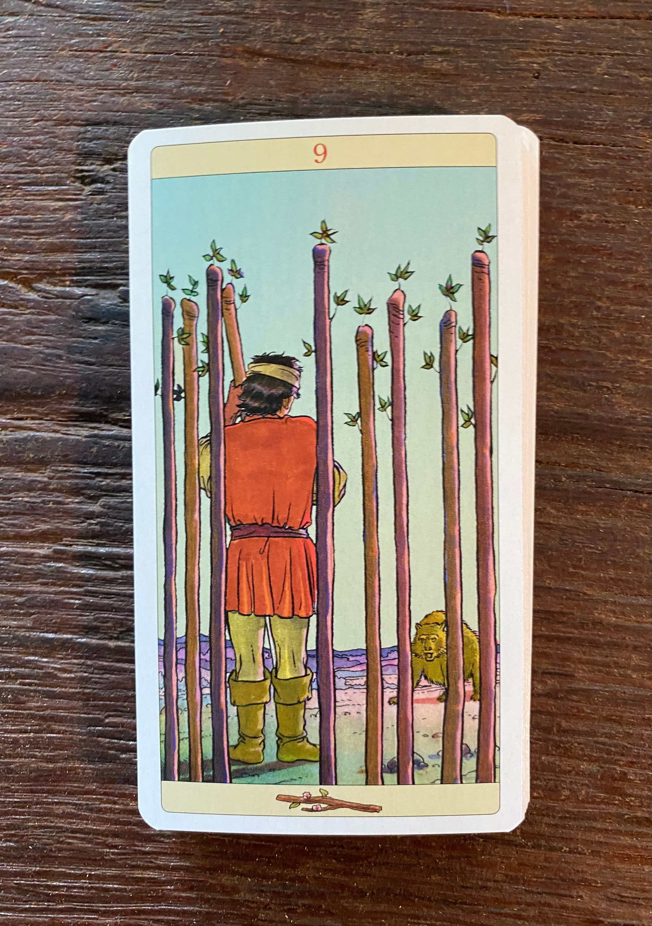 Rare, New Vision Tarot, Premium Edition, Rider-Waite Deck, Full Color Cards and Guide Booklet, Italy, Lo Scarabeo Rare, New Vision Tarot, Premium Edition, Rider-Waite Deck, Full Color Cards and Guide Booklet, Italy, Lo Scarabeo