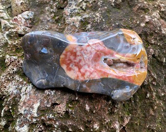 Ohio Rainbow Flint, 1/3 LB- Druzy & Orbicular Polished Palm Stone, Beautiful Warrior Stone, Ohio, 146.30 Grams, CR11517