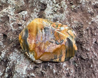 Ohio Rainbow Flint, 1/3-1/2 LB Semi-Polished Freeform Palm Stone, Orbicular, Beautiful Warrior Stone, 199.60 Grams, CR12740