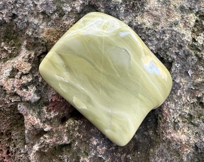 Butterstone Palm Stone, Polished Freeform, Older Than the Dinosaur, Africa, 76.20 Grams, CR12800