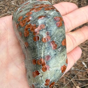 Pu&ograve; includere: Una pietra lucida, liscia e arrotondata caratterizzata da una base verde salvia screziata con distinte inclusioni circolari bruno-rossastre sparse su tutta la superficie. La roccia presenta una finitura lucida e riflettente e una forma organica irregolare.