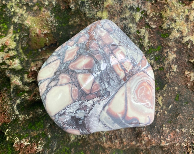 Porcelain Jasper, 1/3 LB- Palm Stone, Freeform, Orbicular, Polished, 144.80 Grams, CR11694