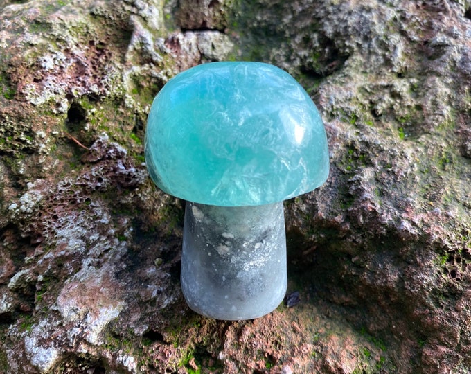 Fluorite Carved Standing Mushroom, 1/3 LB+ Natural, Polished, 165.40 Grams, CR11045