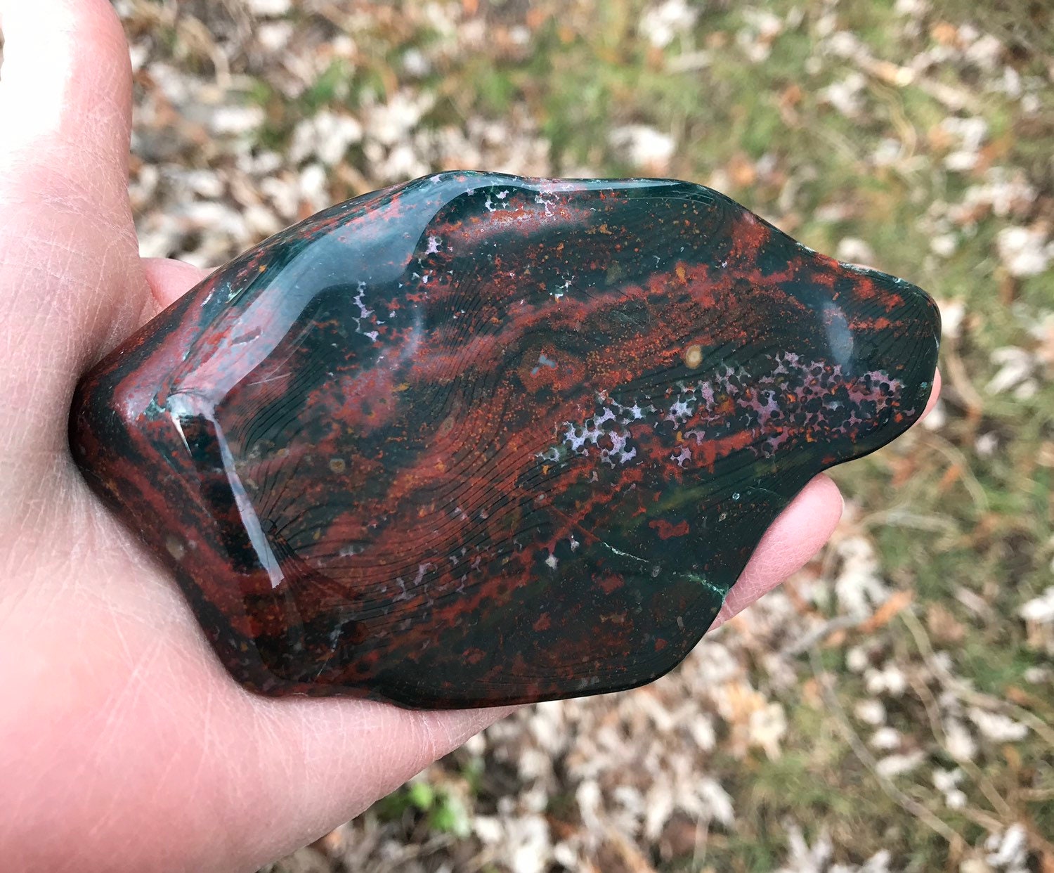 Zentron Crystal Collection 1 2 Pound Tumbled Bloodstone | Seychelles