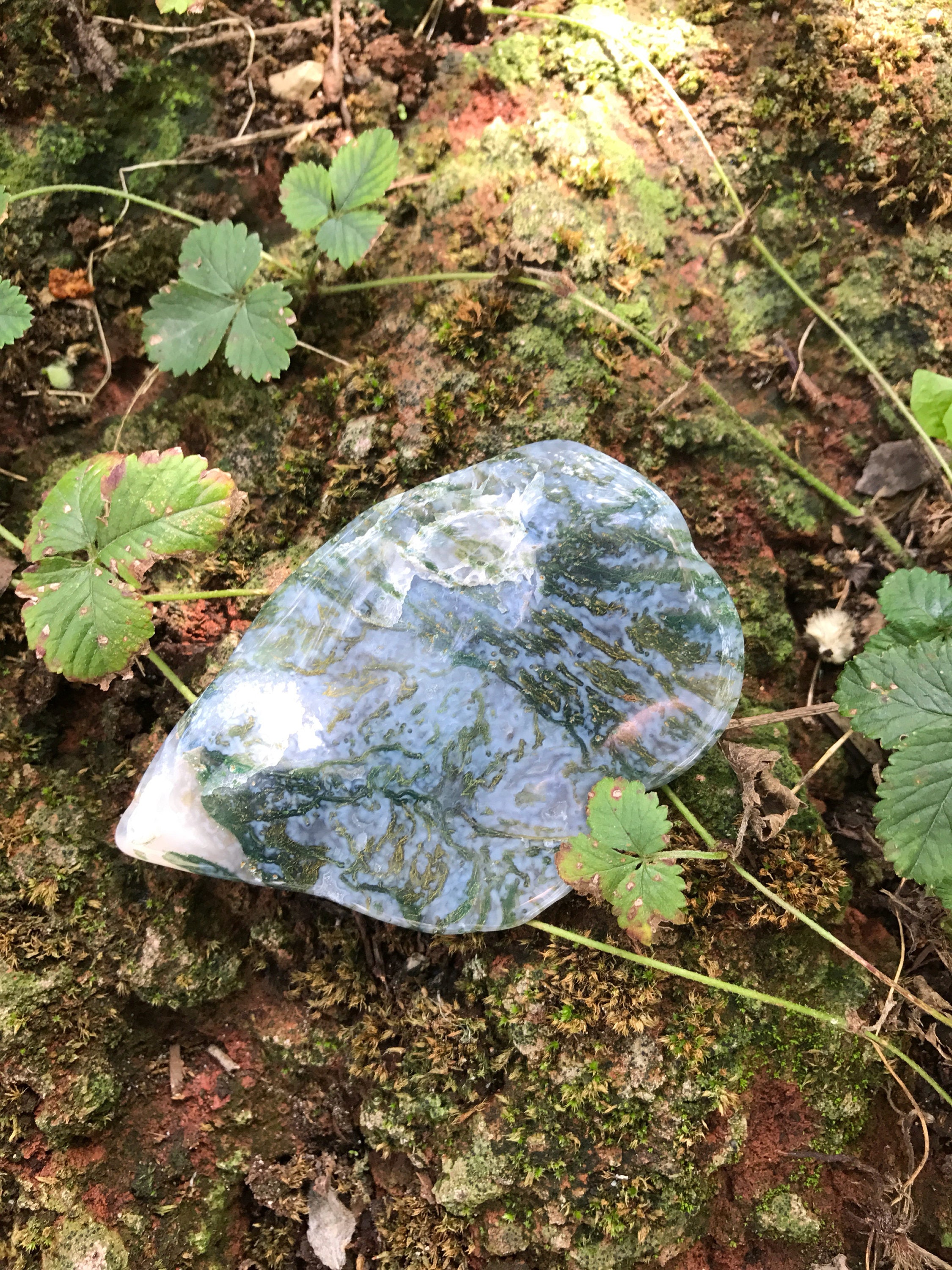 Moss Agate. Palm Stone, India, 61.7 Grams, CR2212