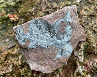 Pyrolusite in Matrix, Morocco, 236.80 Grams, 1/2 LB+ CR11026