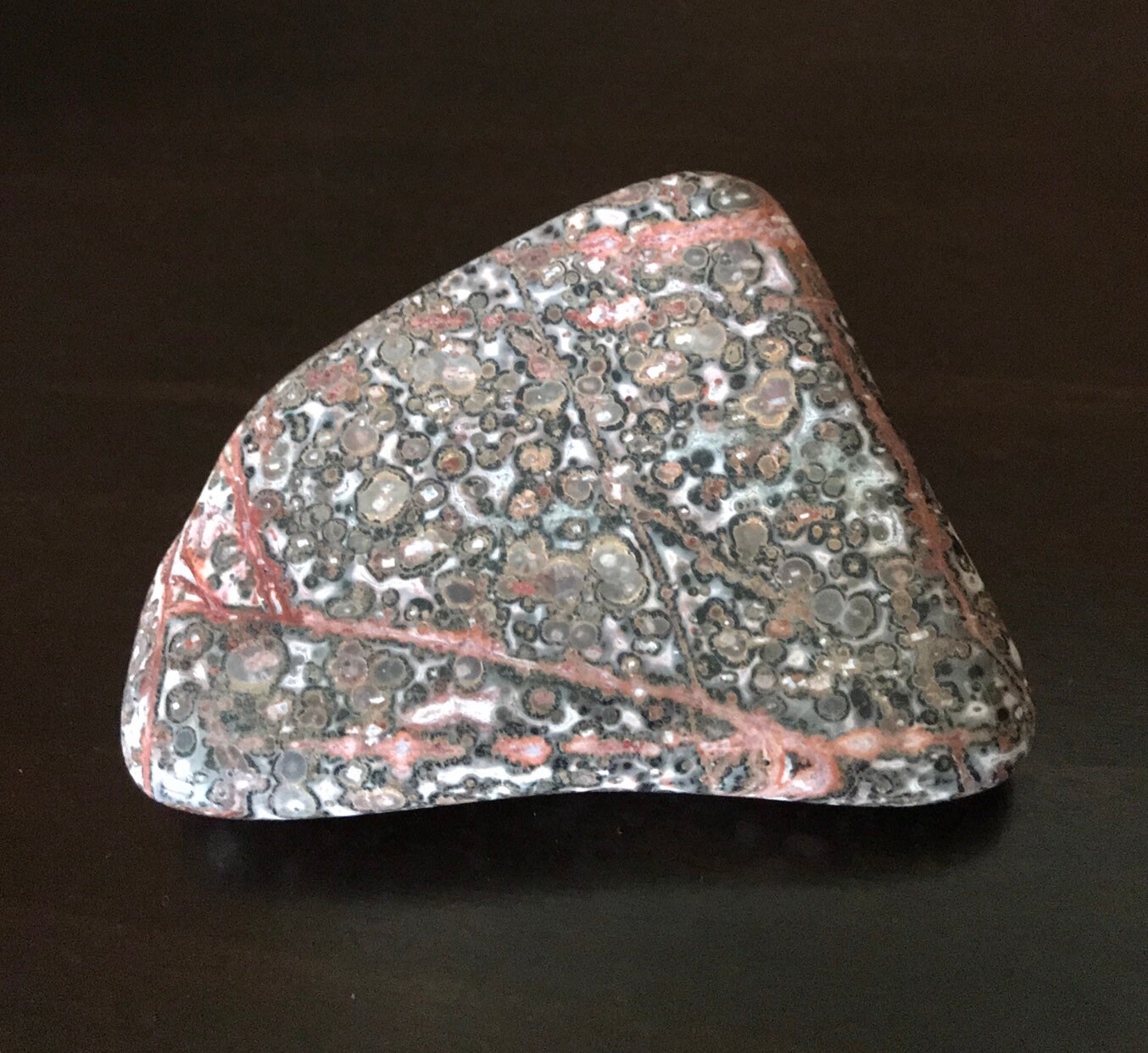 blue leopard skin jasper rough