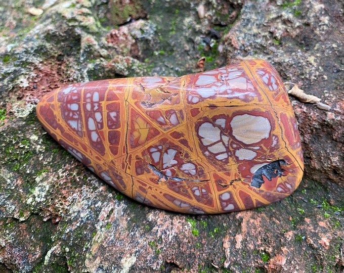 Noreena, 1/4+ 1/3 LB- Picture Jasper, Polished Palm Stone, Western Australia, 130.00 Grams, CR11698