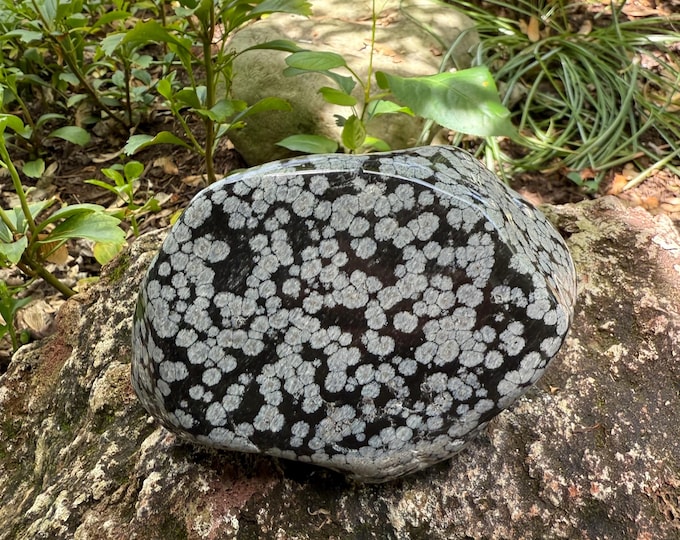 Large Snowflake Obsidian, 1.89 LBS+ Polished Orbicular Freeform Cabinet Stone, 858.50 Grams, Utah, CR12550