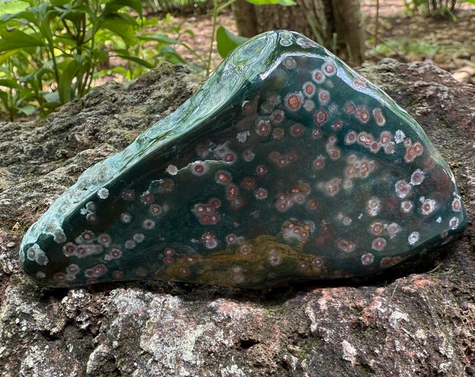 Orbicular Bloodstone, 1/2 to 2/3 LBS Polished Freeform Palm Stone, India, 265.20 Grams, CR12576