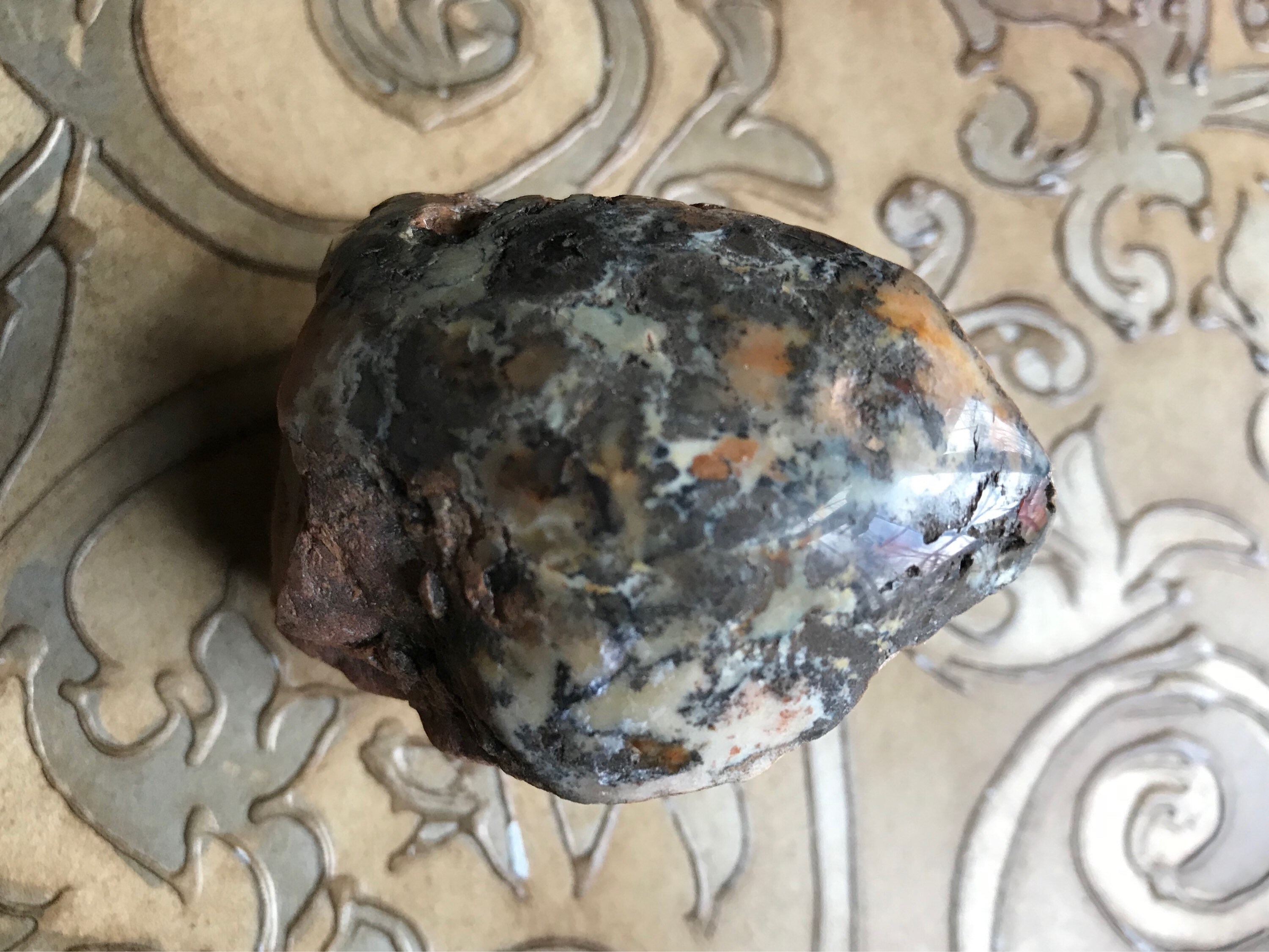fossilised dinosaur poo