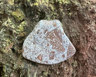 Paisley Jasper Palm Stone, 1/3 LB- Polished, 141.10 Grams, New Mexico, CR12653