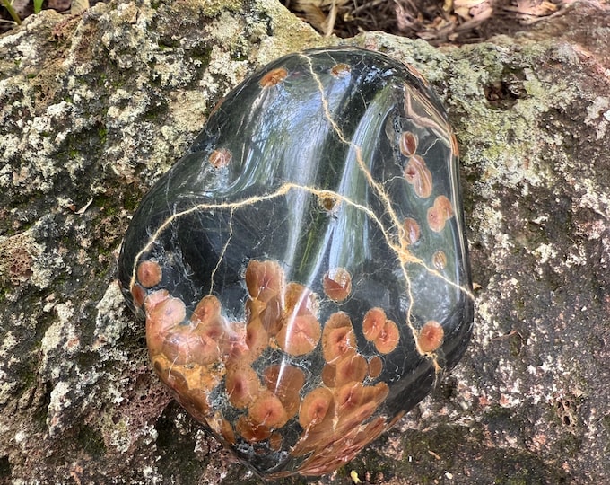 Peanut OBSIDIAN, 1-1/3 TO 1-1/2 LBS Free Form Polished Cabinet Stone, Mexico, 641.70 Grams, CR12546