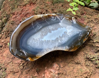 Piranha Agate Cabinet Stone, 4-1/2 LBS- Polished, Orbicular Eye, 2026.30 Grams, CR12080