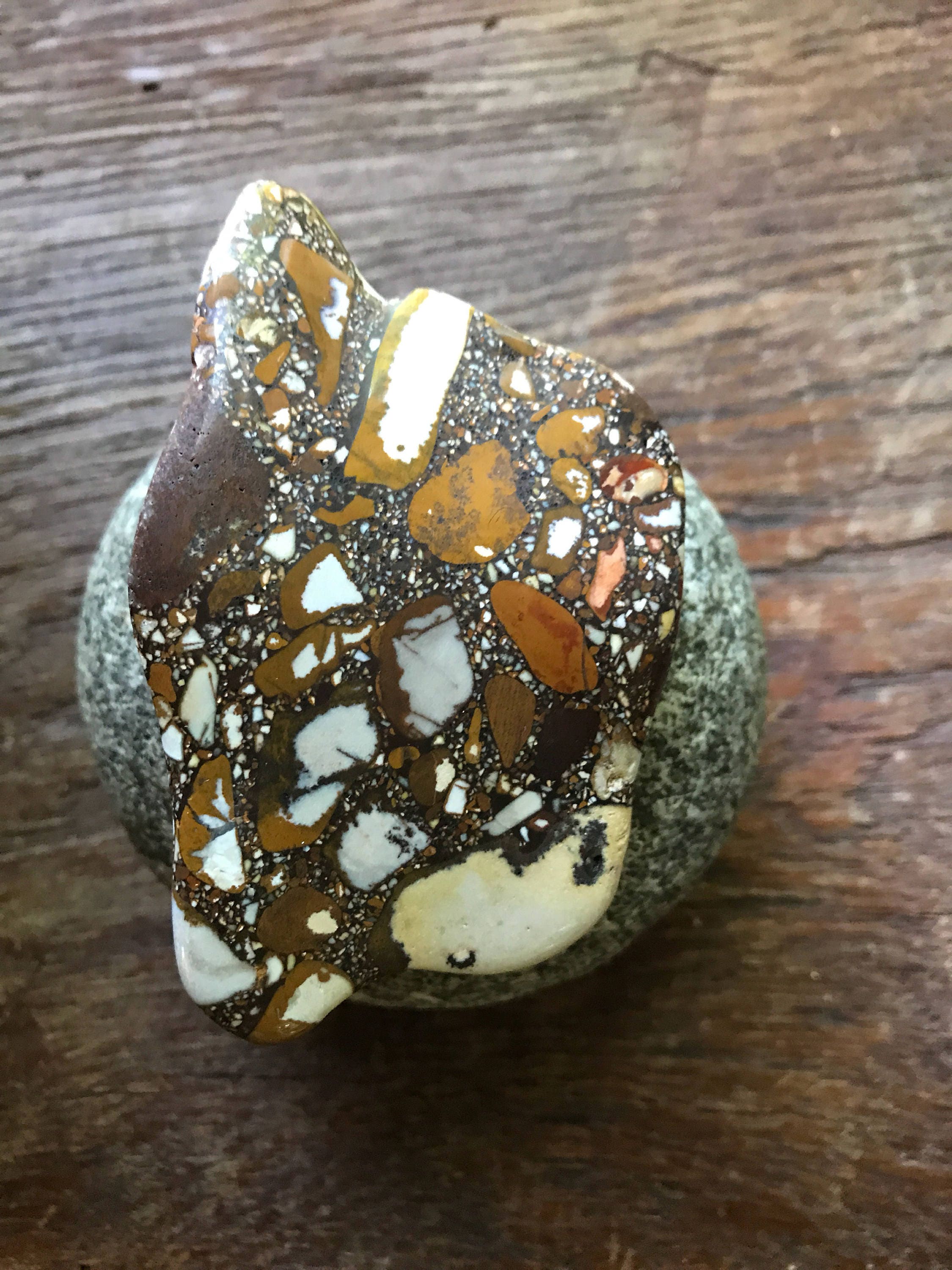 Pudding Stone, Tennessee, 89.4 Grams, CR2002