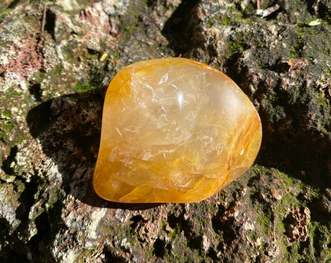Arkansas Golden Healer, 1/4 LB Polished Freeform Palm Stone, Endless Possibilities, Mine Fresh, 113.70 Grams, CR11625