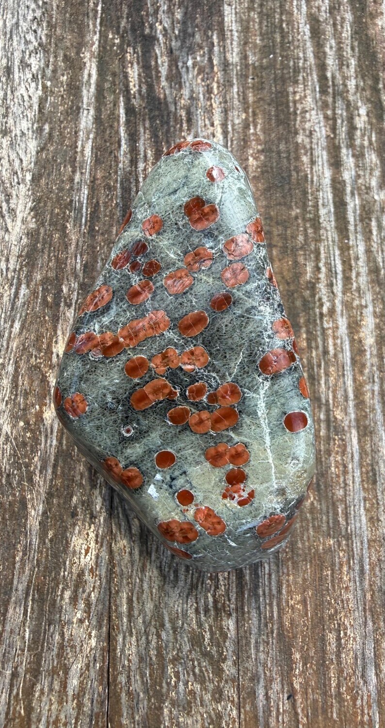Pu&ograve; includere: Una pietra levigata di forma triangolare caratterizzata da una base liscia color verde salvia con numerose macchie distinte, arrotondate e bruno-rossastre sparse sulla superficie, che creano un motivo naturale punteggiato.