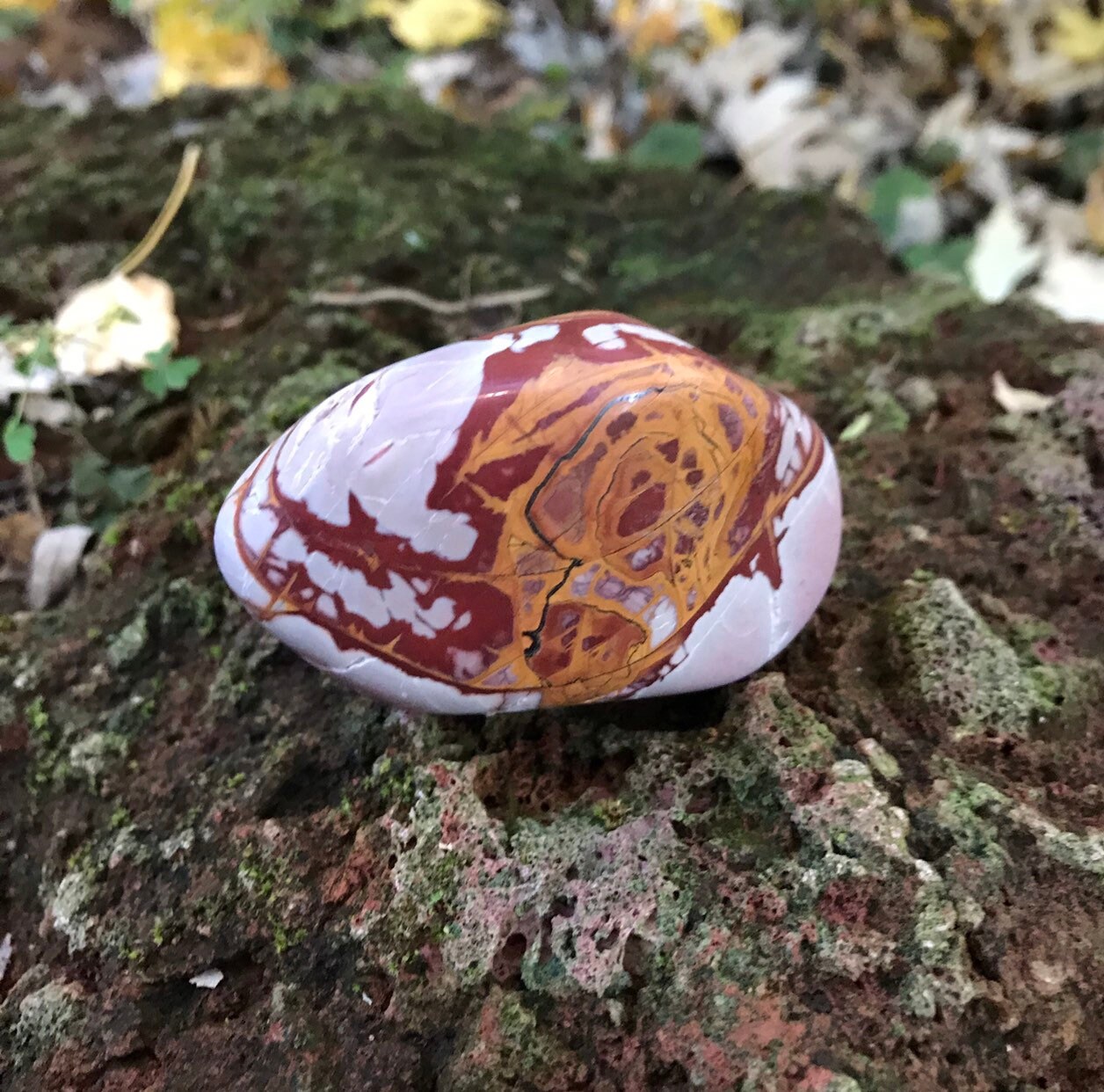 picture jasper