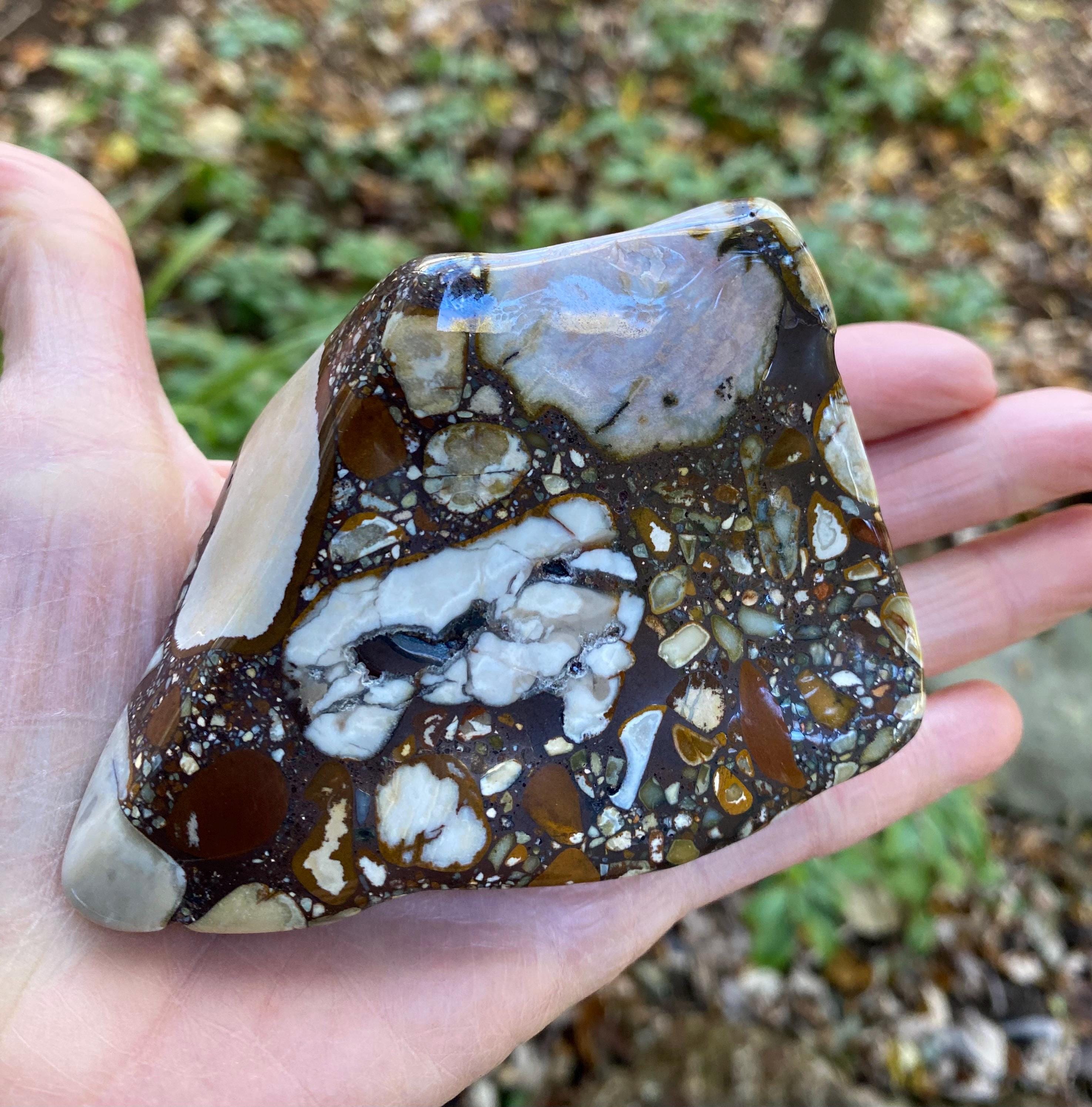 Pudding Stone, 1/2 LB Conglomerate, Tennessee, 252.00 Grams Pudding Stone, 1/2 LB Conglomerate, Tennessee, 252.00 Grams