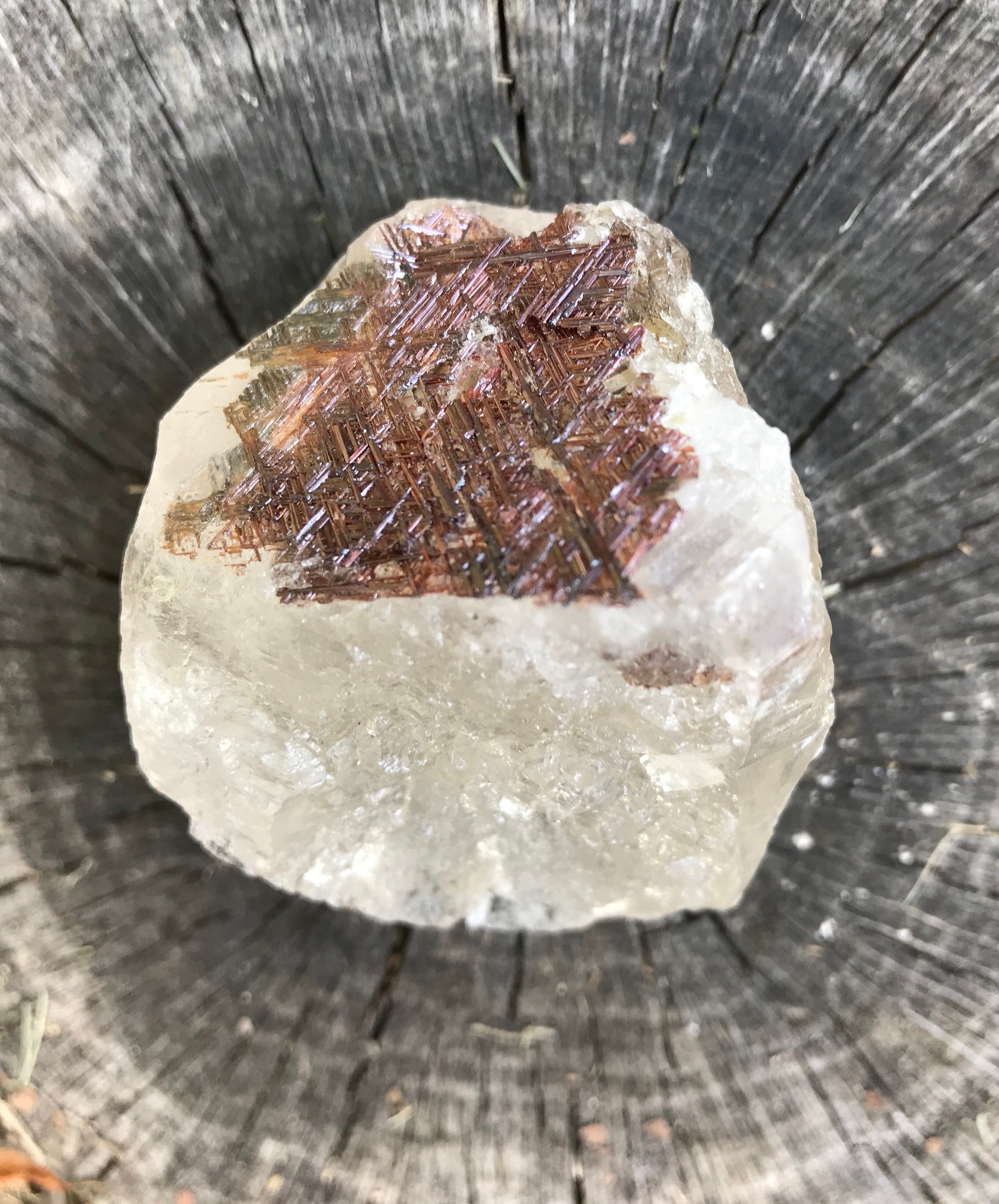 Sold to Mommachick 10/4* Sagenite, Geometric Rutile, Quartz Sold to Mommachick 10/4* Sagenite, Geometric Rutile, Quartz