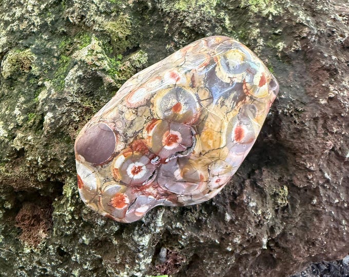 Birdseye Orbicular Jasper, 1.13 LBS Large Free Form Cabinet Stone, Polished, Mexico, 513.40 Grams, CR12548
