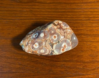 Birdseye Jasper, 1/2 LB- Polished, Freeform Palm Stone, Mexico, 210.50 Grams, CR12159