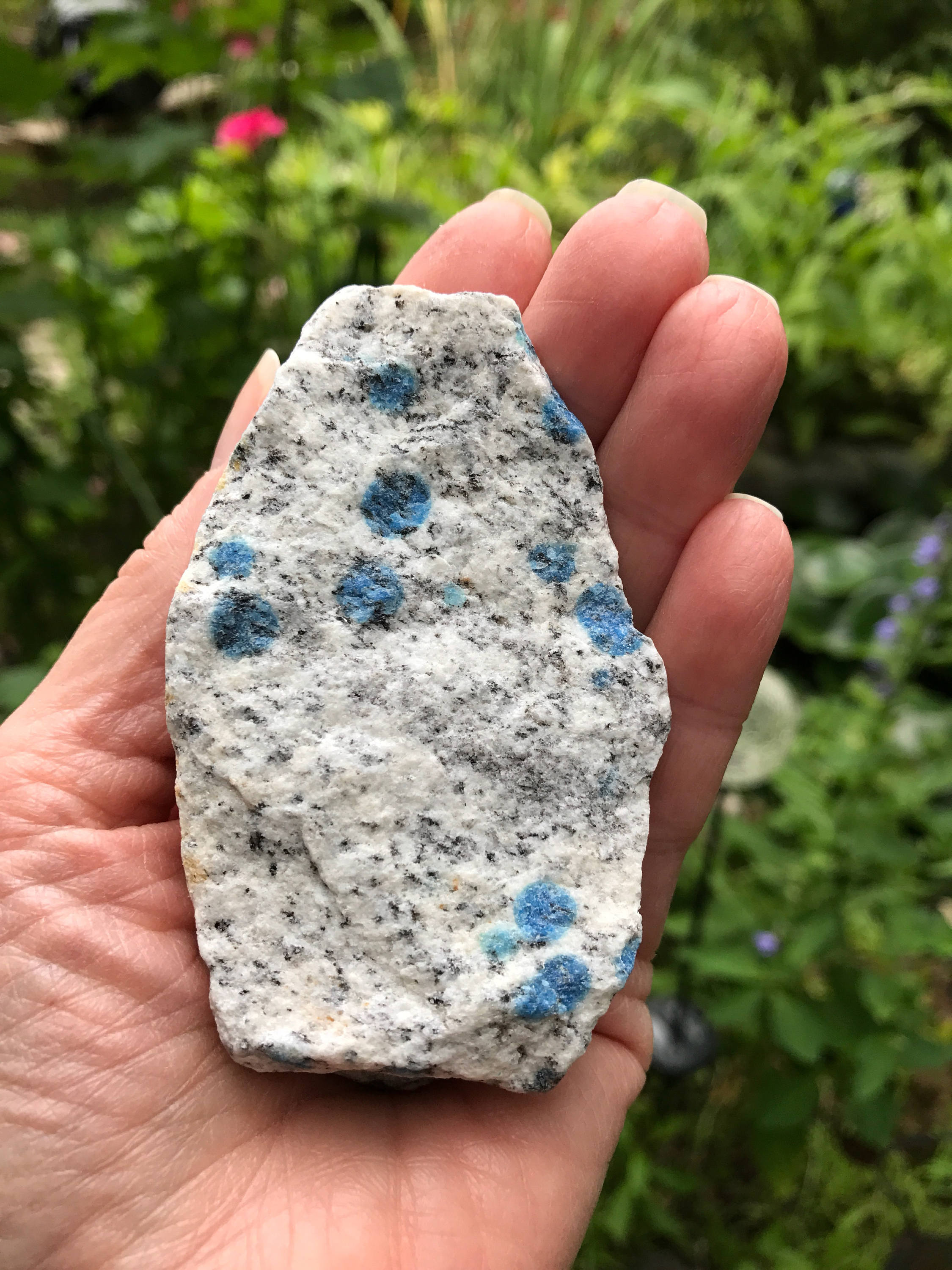 K2 Stone, Raw Azurite in Granite, Pakistan, 123.2 Grams, CR1931