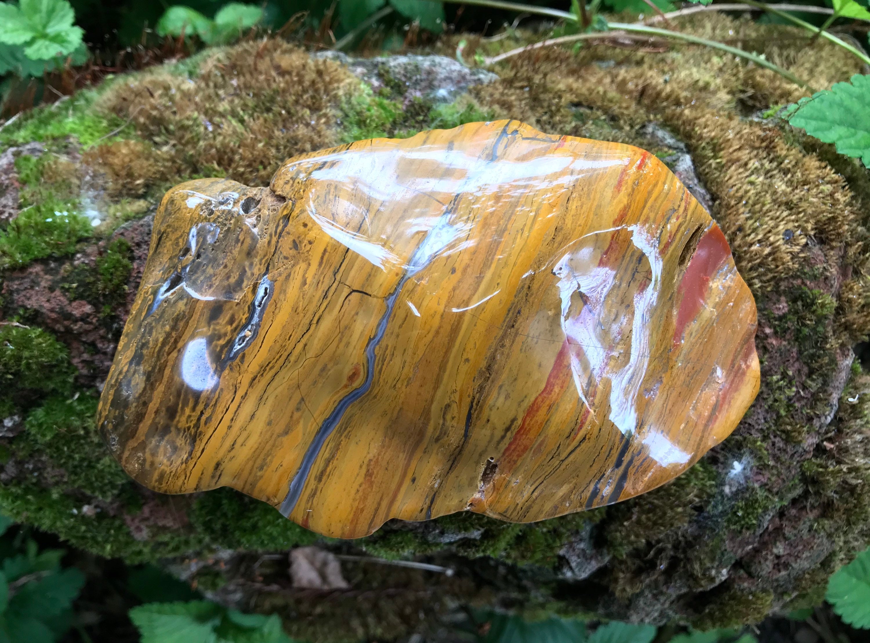 jasper stone jasper stone
