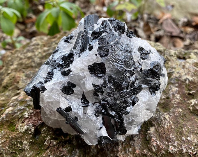 Black Tourmaline in Quartz, 1-1/4 LBS- Raw, 545.00 Grams, Brazil, CR12268