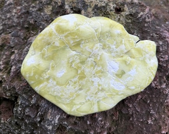 Noble Serpentine, 1-1/4 LB+ Healerite, Cabinet Stone, Polished, Washington State, 566.30 Grams, CR12832