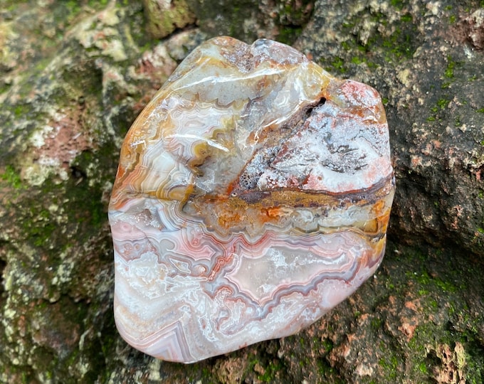 Crazy Lace Agate, 1/3-1/2 LB Semi-Polished Palm Stone, Beautiful Patterning, Embedded Pebble, Mexico, 189.00 Grams, CR11679