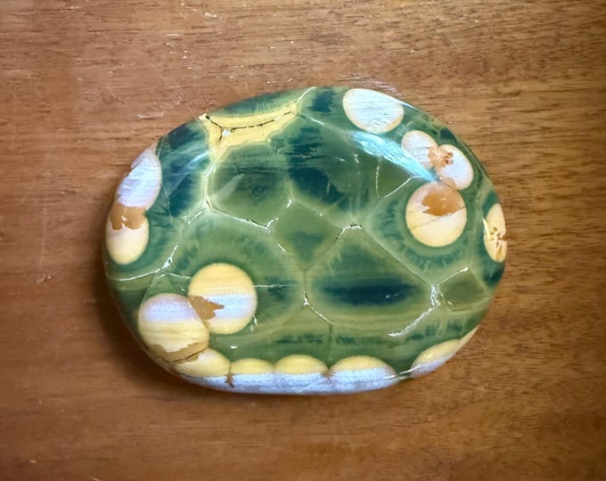 Ocean Jasper, 3/4 LB+ Large Oval Orbicular Stone, Polished, Madagascar, 372.70 Grams, CR12708