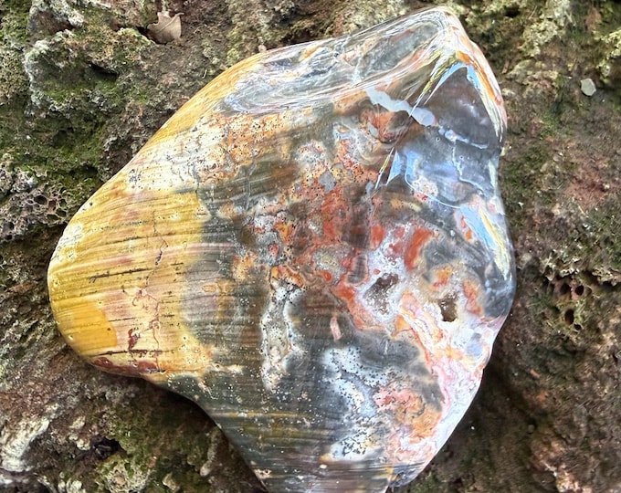 Druzy Ohio Rainbow Flint, 1/3 LB+ Semi-Polished Freeform Palm Stone, Beautiful Warrior Stone, 154.90 Grams, CR12760