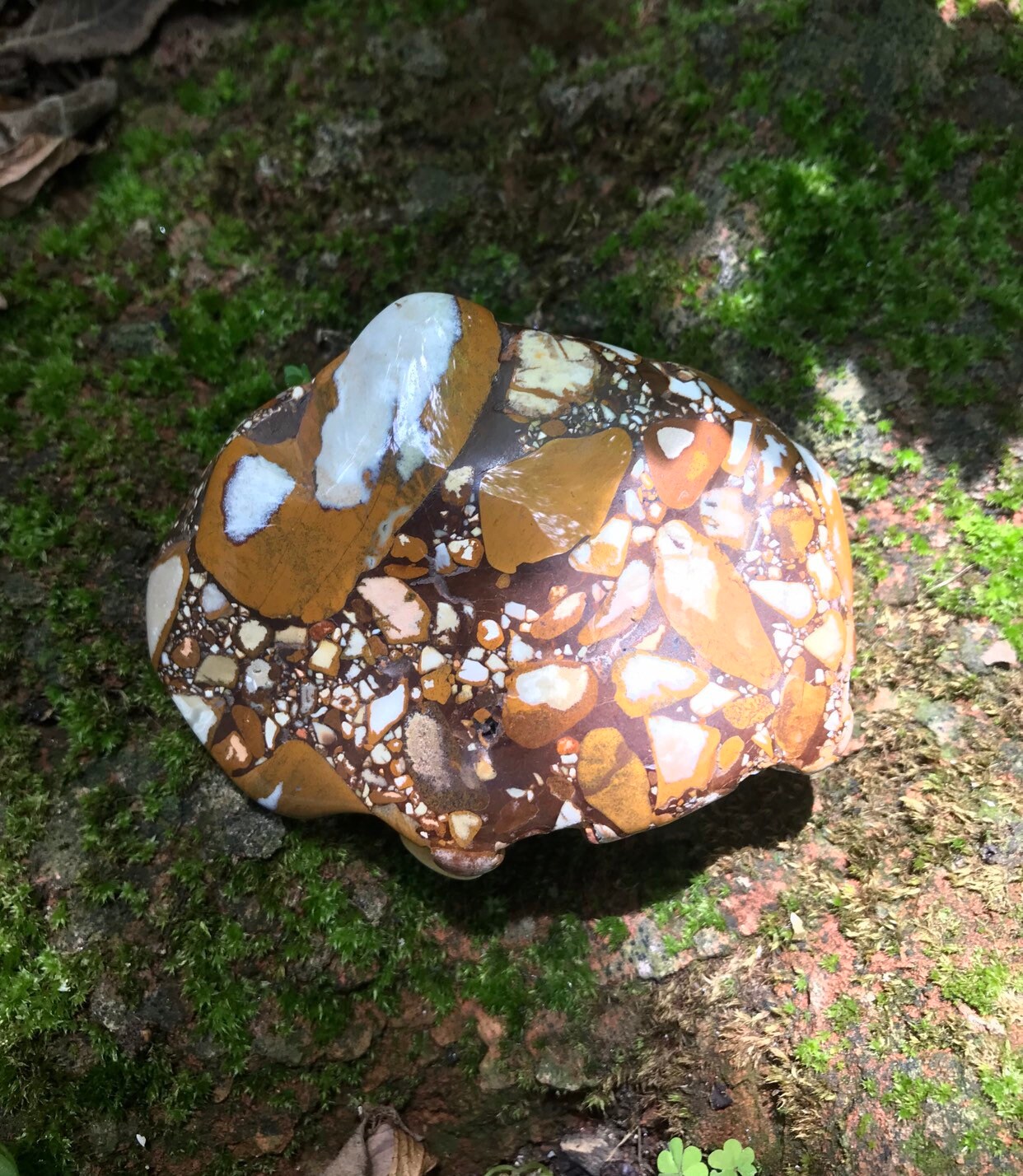 1/3 LB Pudding Stone, Conglomerate, Tennessee, 150.2 Grams, 5.30 Ounces