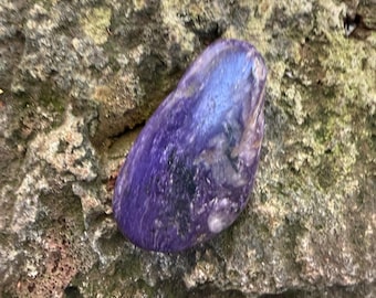 Charoite, 1/4 LB+ Polished Freeform Palm Stone, Russia, 123.30 Grams, CR12797