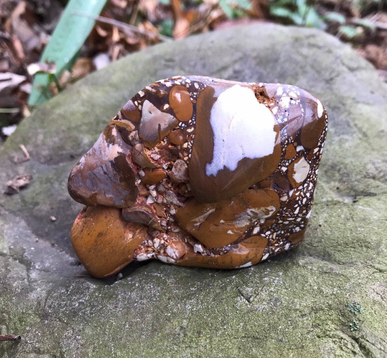 1/3 LB Pudding Stone, Conglomerate, Tennessee, 155.7 Grams, 5.49 Ounces