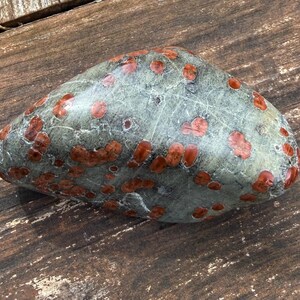 Pu&ograve; includere: Una pietra liscia e arrotondata con una base grigio-verde e numerose macchie marrone-rossastre. La pietra &egrave; esposta su una superficie di legno invecchiato, che mostra la sua consistenza naturale e le variazioni di colore. Un oggetto decorativo unico.