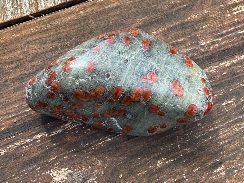 Pu&ograve; includere: Una pietra liscia e arrotondata con una base grigio-verde e numerose macchie marrone-rossastre. La pietra &egrave; esposta su una superficie di legno invecchiato, che mostra la sua consistenza naturale e le variazioni di colore. Un oggetto decorativo unico.