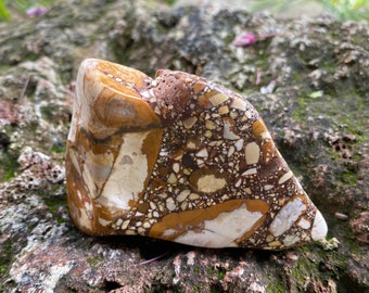 Pudding Stone,  1/3 LB+ Conglomerate, Tennessee, 152.40 Grams, CR11621