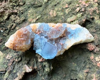 Fluorite Cluster on Matrix, 1/3 LB- Cubical, Blue-Purple, 140.80 Grams, New Mexico, CR12697