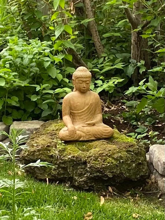 Meditative Zen Garden with Volcanic Stones Meditative Zen Garden with Volcanic Stones