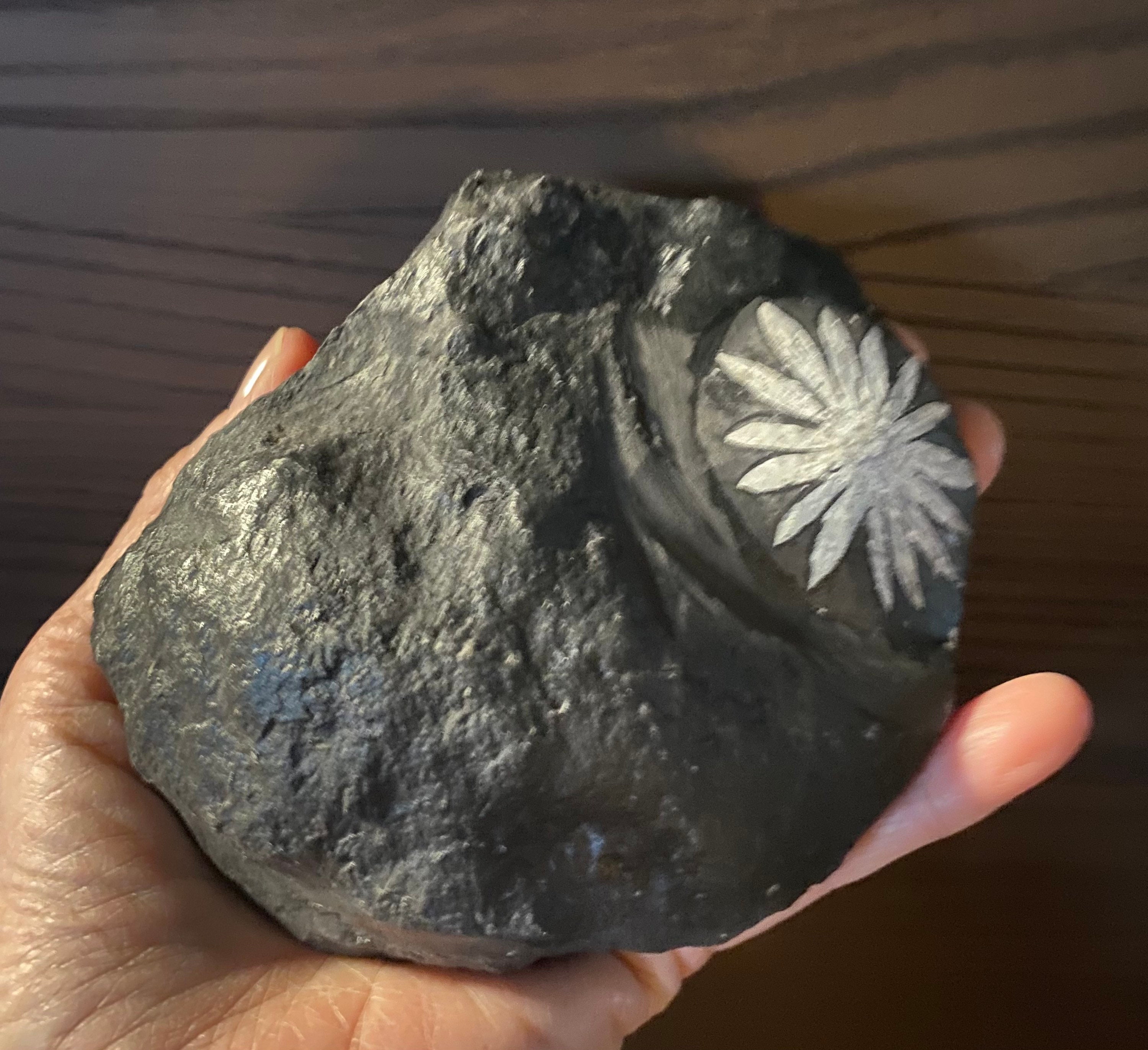 1-3/4 LB, XL Chrysanthemum Stone, China, 768.90 Grams, CR10722 1-3/4 LB, XL Chrysanthemum Stone, China, 768.90 Grams, CR10722