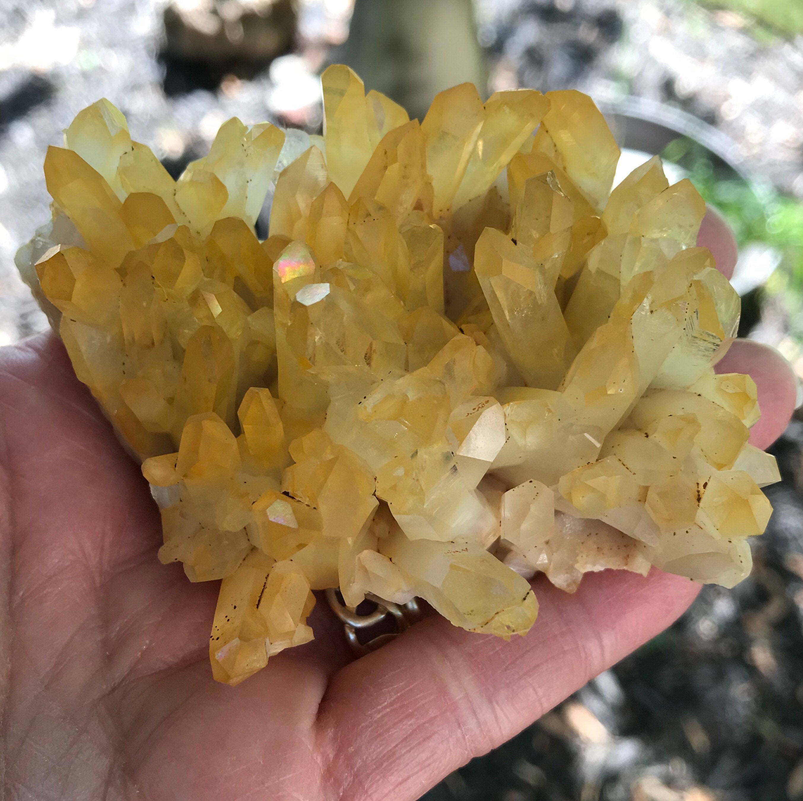Golden Healer, Raw Quartz Cluster, Rainbow Iridescence, Mine Golden Healer, Raw Quartz Cluster, Rainbow Iridescence, Mine